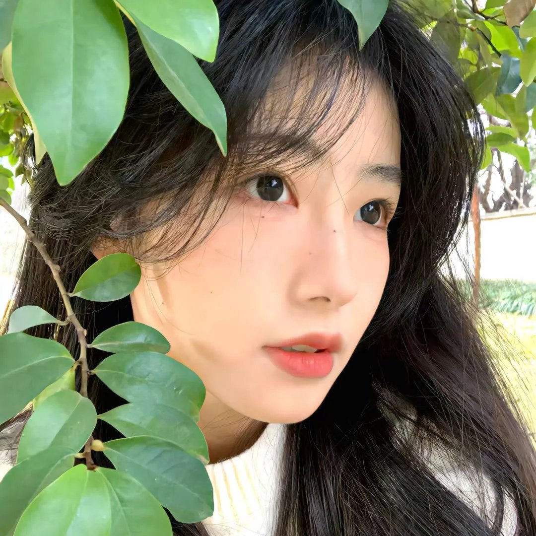 首尔沙龙
